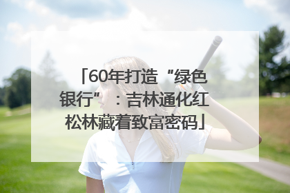 60年打造“绿色银行”：吉林通化红松林藏着致富密码
