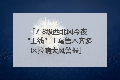 7-8级西北风今夜“上线”！乌鲁木齐多区拉响大风警报