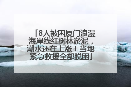8人被困厦门浪漫海岸线红树林淤泥，潮水还在上涨！当地紧急救援全部脱困