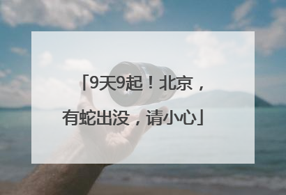 9天9起！北京，有蛇出没，请小心