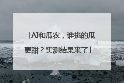 AI和瓜农，谁挑的瓜更甜？实测结果来了