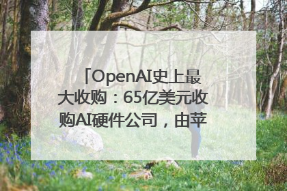 OpenAI史上最大收购：65亿美元收购AI硬件公司，由苹果前设计总监创办
