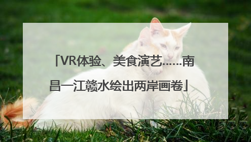 VR体验、美食演艺……南昌一江赣水绘出两岸画卷